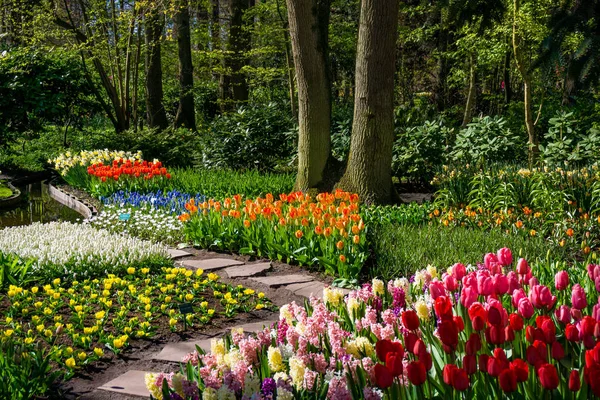 Bahar resmi Bahçe. Renkli çiçek güzel Bahçe