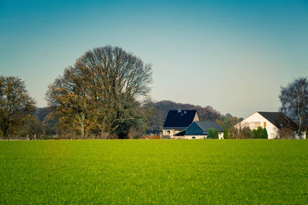 Settore agricolo. Paesaggio agricolo con campi verdi — Foto Stock