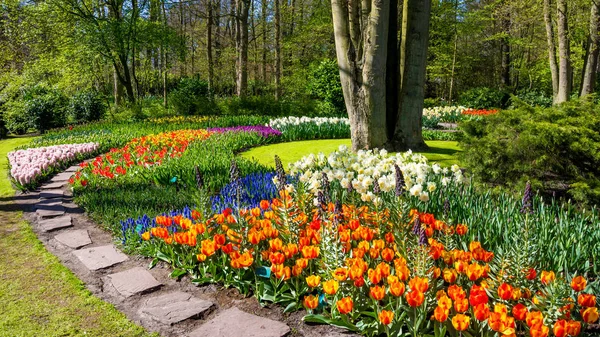 Lente formele tuin. Prachtige tuin met kleurrijke bloemen — Stockfoto