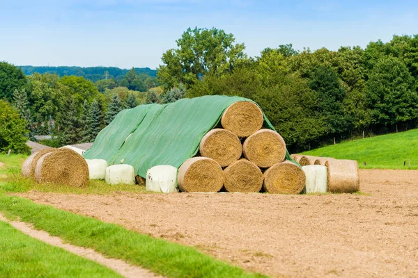 Paisagem natural do campo. Fardo de feno — Fotografia de Stock