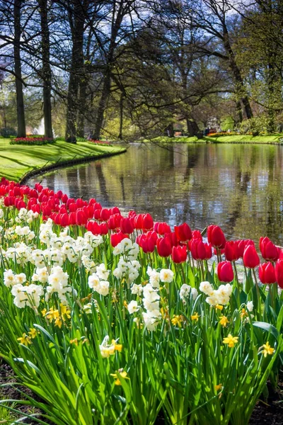 Keukenhof parque na Holanda — Fotografia de Stock