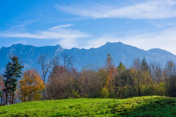 Paisagem nos Alpes com prados verdes frescos. Alpes suíços — Fotografia de Stock