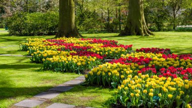 Bahar resmi Bahçe. Renkli çiçek güzel Bahçe