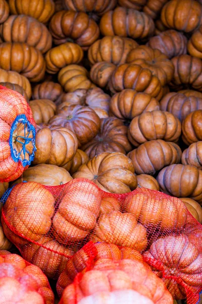 Autumn pumpkins for sale — Stock Photo, Image