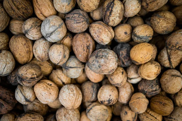Background made of many walnuts. — Stock Photo, Image