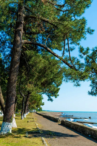 Морський пейзаж Панорама Чорного моря. Природа панорамний фону — стокове фото