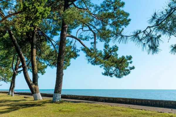 Абхазия, побережье Черного моря — стоковое фото