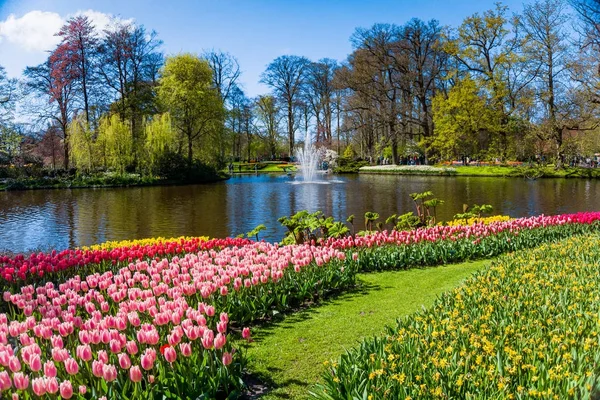 Lente formele tuin. Prachtige tuin met kleurrijke bloemen — Stockfoto