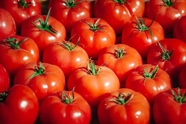 Group of fresh tomatoes — Stock Photo, Image