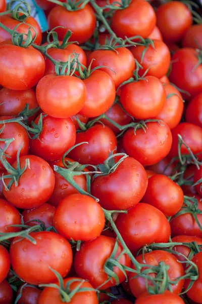 Gruppo di pomodori freschi — Foto Stock