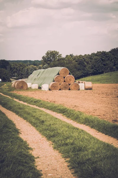 Paisagem natural do campo. Fardo de feno — Fotografia de Stock