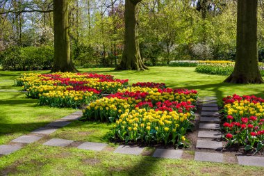 Bahar resmi Bahçe. Renkli çiçek güzel Bahçe