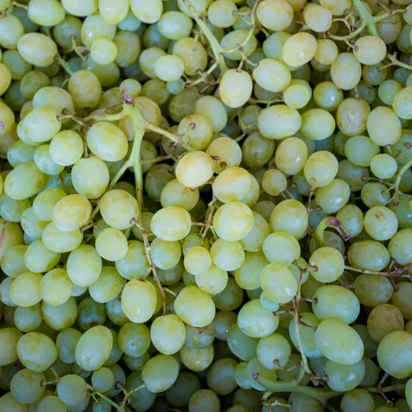 Bílé hrozny. Zelené hroznové pozadí — Stock fotografie