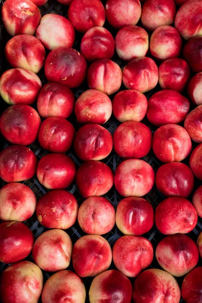 Nectarines in the market — Stock Photo, Image
