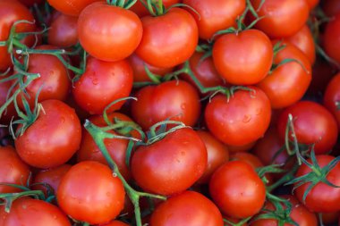 Kırmızı domates arka planı. Bir grup domates.