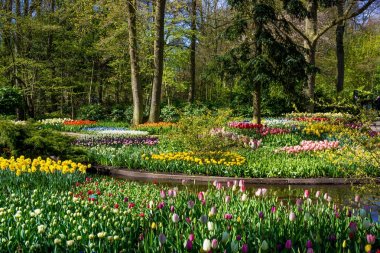 Bahar resmi Bahçe. Renkli çiçek güzel Bahçe