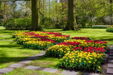 Hollanda 'daki Keukenhof Parkı