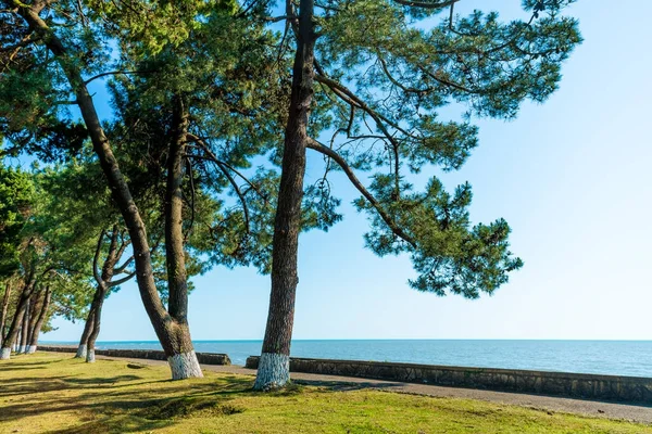 Seascape panorama Morza Czarnego. Natura panoramiczny tło — Zdjęcie stockowe