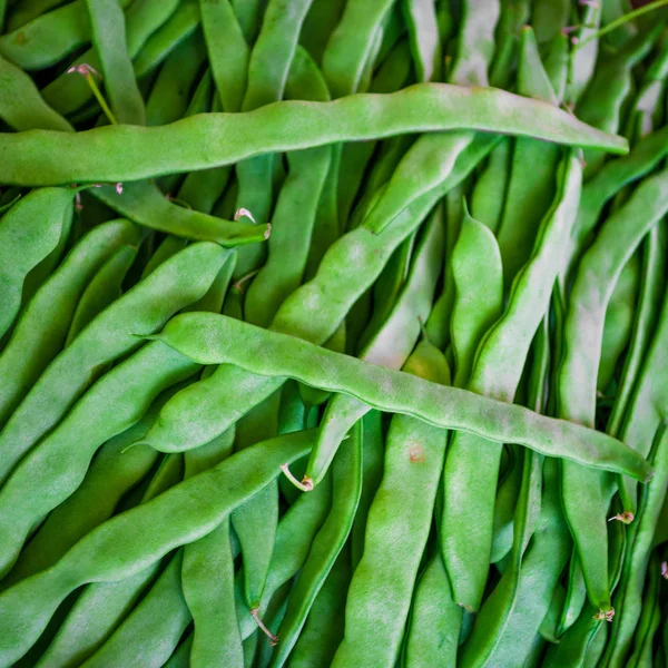 Fondo Judías Verdes Fondo Vegetal —  Fotos de Stock