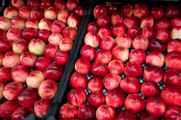 Nectarines Markt — Stockfoto