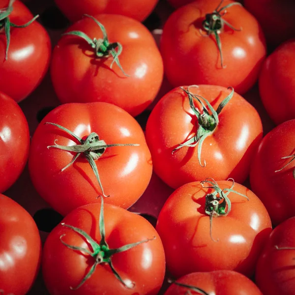 Tło czerwonych pomidorów. Grupa pomidorów — Zdjęcie stockowe