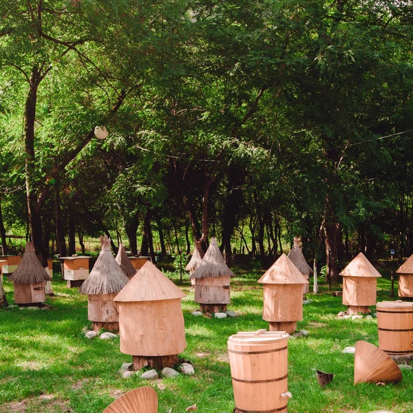 Wooden beehive, for beekeeping agriculture — Stock Photo, Image