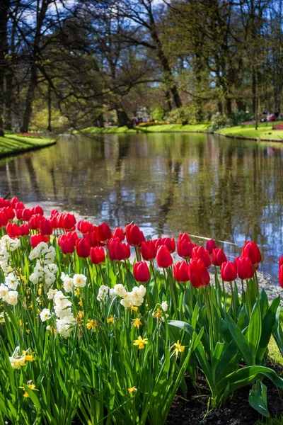 Jardín formal de primavera. Hermoso jardín de flores de colores —  Fotos de Stock