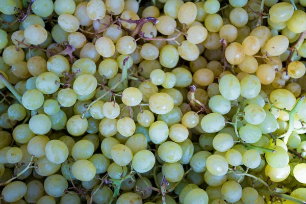 Uvas blancas. Fondo de uva verde —  Fotos de Stock