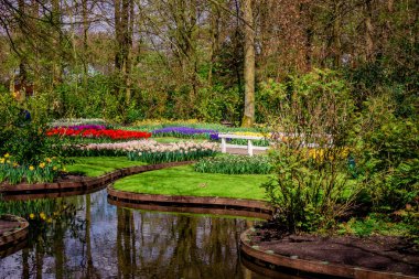 Bahar manzara. bir çayır çiçekler ile manzara