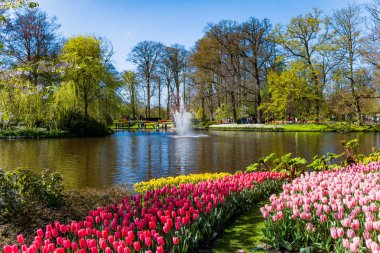 Hollanda 'daki Keukenhof Parkı