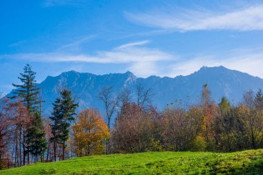 taze yeşil çayırlar ile Alpleri'nde manzara. İsviçre Alpleri