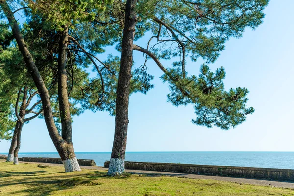 Seascape panorama Morza Czarnego. Natura panoramiczny tło — Zdjęcie stockowe