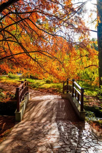 Herbstlandschaft. Herbstlaub. Brücke im Herbstpark — Stockfoto