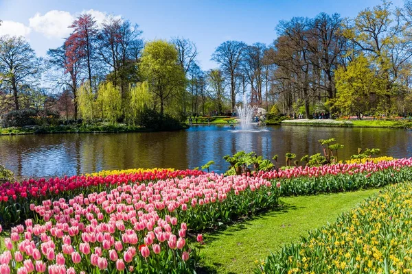 Lente formele tuin. Prachtige tuin met kleurrijke bloemen — Stockfoto