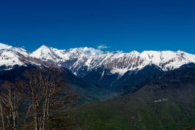 Kafkas Dağları. Krasnaya Polyana, Sochi Milli Parkı, Russi