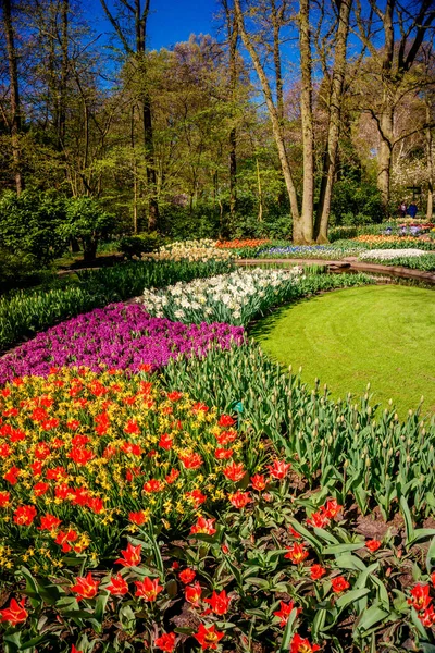 Paysage printanier. paysage avec des fleurs sur un pré — Photo