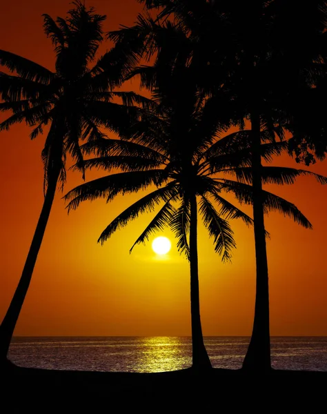Zachód Słońca Krajobraz Plaża Zachód Słońca Zachód Słońca Plaży — Zdjęcie stockowe