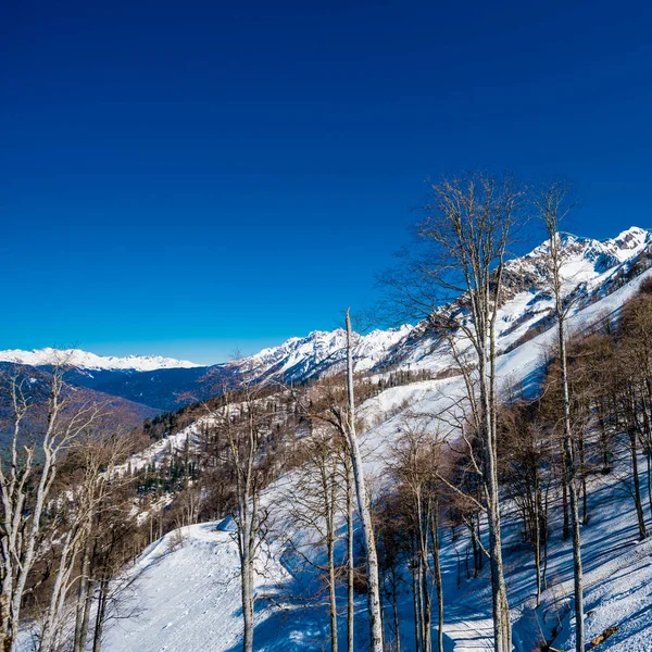 Montañas del Cáucaso. Hermoso paisaje de montaña — Foto de Stock