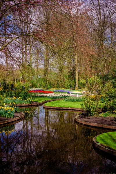 Jarní krajina. krajina s květy na louce — Stock fotografie