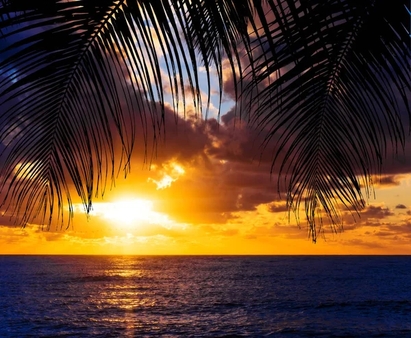 sunset landscape. beach sunset. sunset on the beach