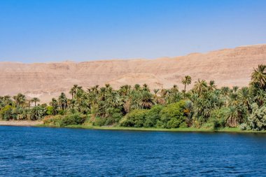 Mısır 'da Nil Nehri. Nil Nehri 'nde Yaşam