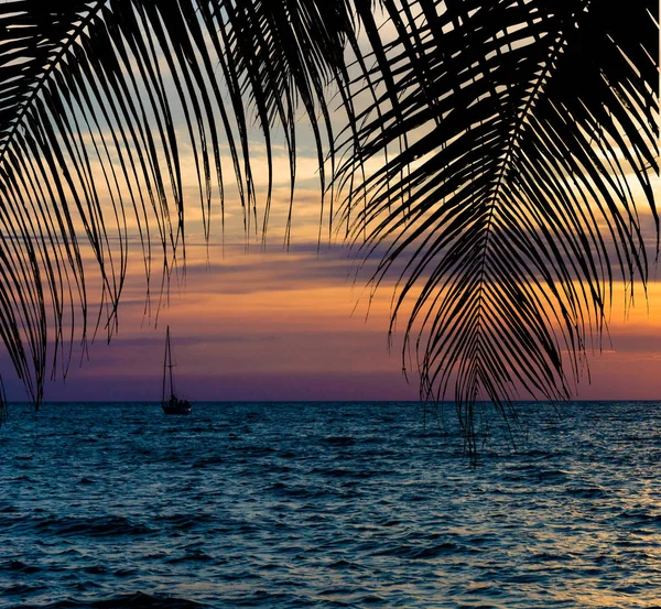 Silhueta de palmeiras ao pôr-do-sol. pôr-do-sol e praia. Belo sol. — Fotografia de Stock