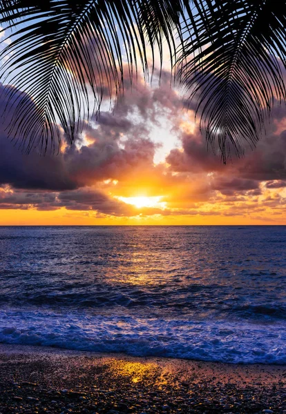 Pálmafák sziluett naplemente trópusi strandon — Stock Fotó