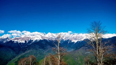 Kafkas Dağları. Krasnaya Polyana, Sochi Milli Parkı, Russi