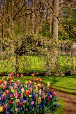 Güzel park. Resmi Bahçe