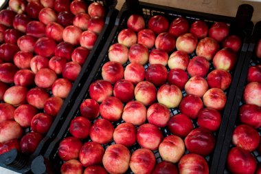 nektarin içinde belgili tanımlık çarşı
