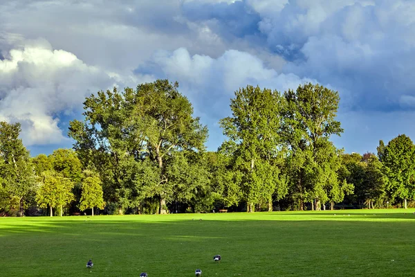 Belle scène de parc. panorama du parc vert de la ville — Photo