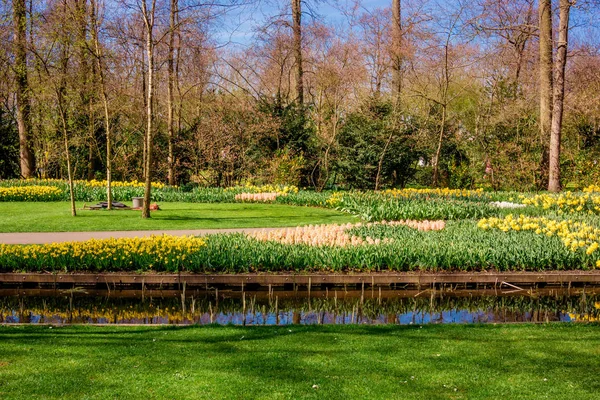 Krásná zahrada. Park na jaře. Jarní krajina — Stock fotografie