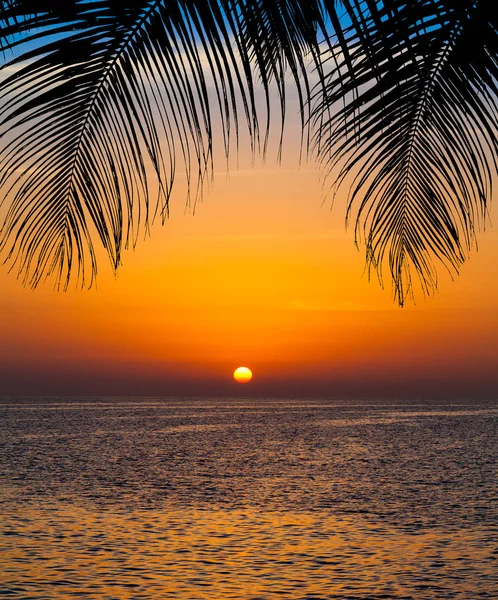 Zonsondergang landschap. strand zonsondergang. zonsondergang op het strand — Stockfoto