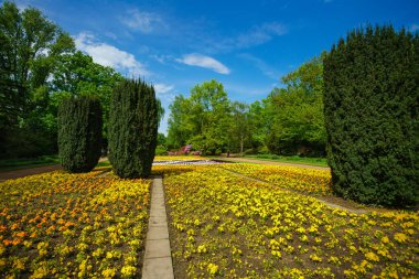 Manzara resmi, ön bahçesinde gayet güzel, Bahçe Dizayn